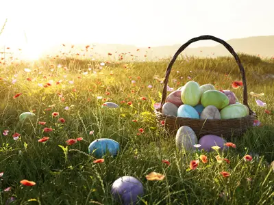 Easter Eggs Basket in a Flowerfield