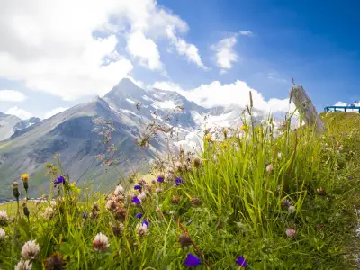 Großglockner im Nationalpark Hohe Tauern