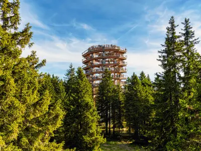 ROGLA, SLOVENIA - Oct 20, 2020: Wooden lookout tower, tourist attraction above treetops. Forest, trees, lookout, viewpoint, tourism, nature, outdoors. Rogla, Slovenia.