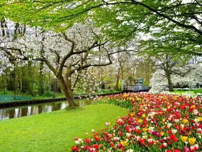 Keukenhof royal park of flowers and tulips in the Netherlands. Beautiful outdoor scenery in Holland