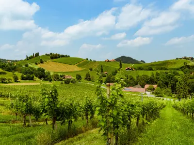 Austria Vineyards Sulztal weinstrasse south Styria tourist spot, wine country places to see