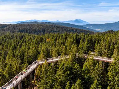 ROGLA, SLOVENIA - Oct 31, 2020: Wooden walkway, path amidst forest, above treetops, view, nature, outdoors, tourist attraction at Rogla, Slovenia.