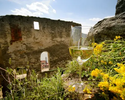 Grüner Veltliner Weinglas in der Wachau auf der Ruine Dürnstein Niederösterreich