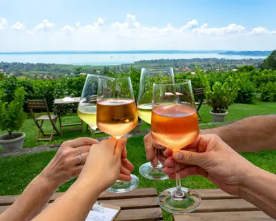 toast with wine in a vineyard bar with a nice view of Lake Balaton on a nice summer day with family friends .