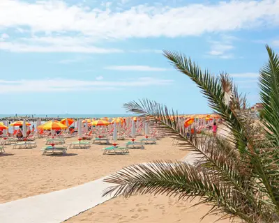 umbrellas and deck chairs without people on the beach near the sea in summer