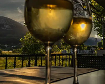 glass of noble home-made white wine, local alcoholic beverages of Croatia, Golden Zlachtina