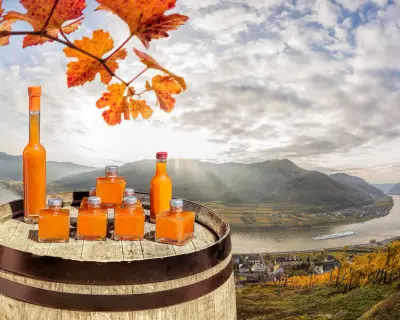 Apricots drinks on barrel against Spitz village with Danube river, Austria
