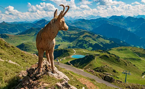 Die Hexenalm und Kitzbühel
