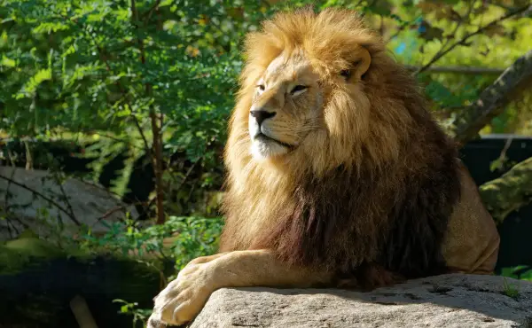 Tierpark Hellabrunn in München