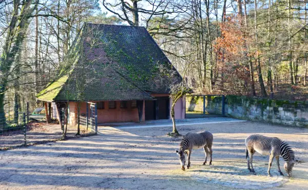 Tiergarten Nürnberg