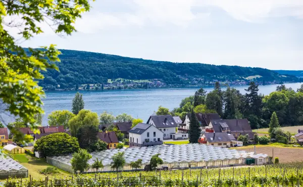 Wein- & Fischerfest auf der Insel Reichenau