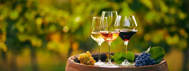 Three glasses with white, rose and red wine on a wooden barrel in the vineyard. Wide photo