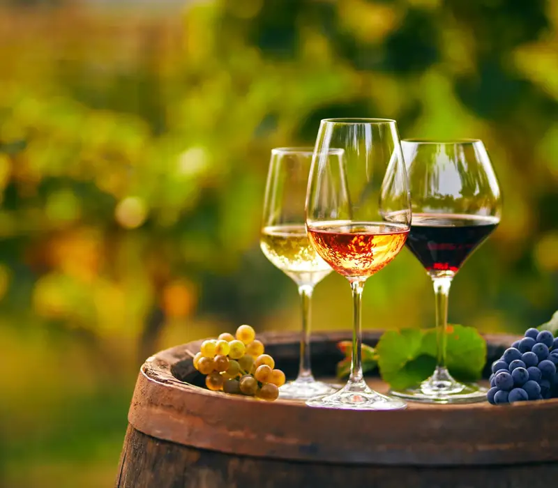 Weinerlebnis Saale - Unstrut