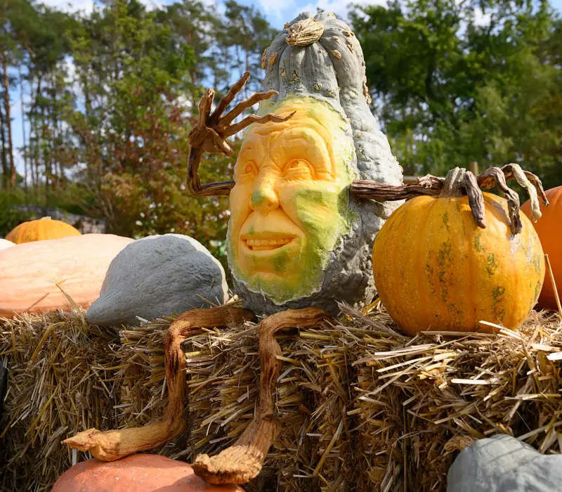 Kürbiszeit im Klaistower Hof - Beelitz