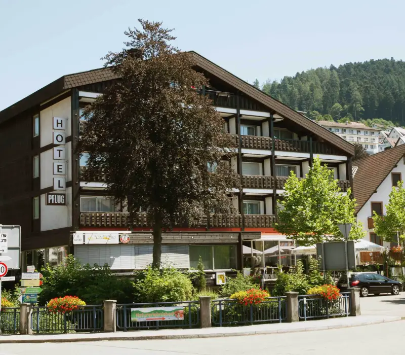 Herbstzauber im Schwarzwald